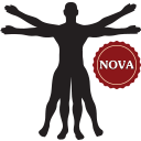 Anatomia_humana