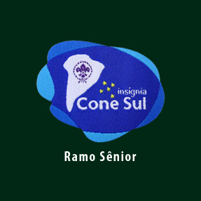 INSÍGNIA DO CONE SUL